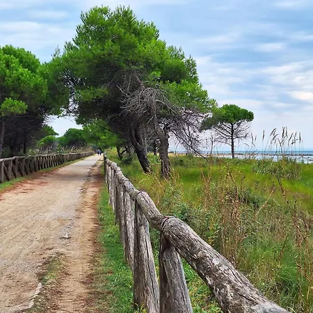Lovely Modern In - Beahost * Bibione